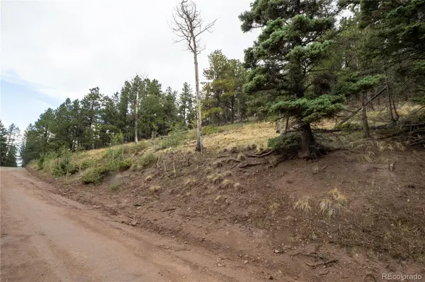 Lot 2797 Moir DR, Fort Garland, CO 81133