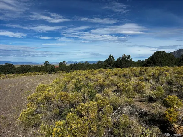 1411 W Badger RD, Crestone, CO 81131