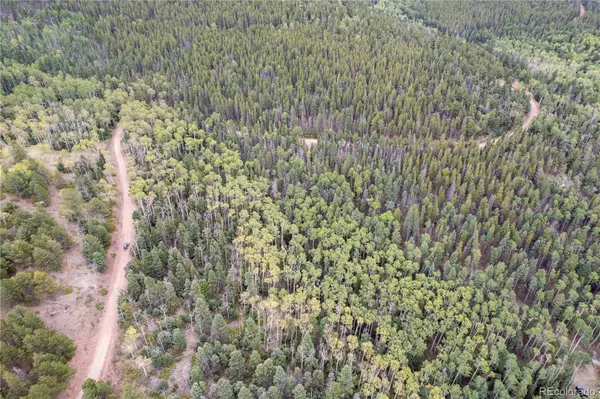 Lot 2825 Moir DR, Fort Garland, CO 81133
