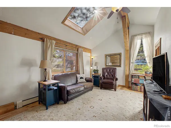 131 S Jackson ST, Nederland, CO 80466