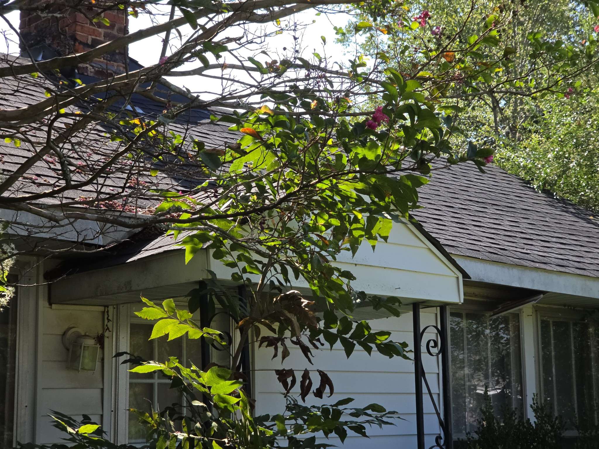 7110 Highway 18 #S, Hickory Valley, TN 38042