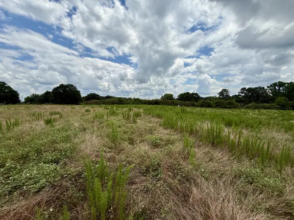 0 County Road 643, Hanceville, AL 35077