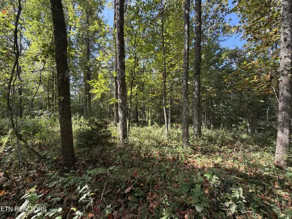 2235 Moore Knob Rd, Allardt, TN 38504