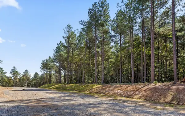 2002 Stardust Court, Guild, TN 37340