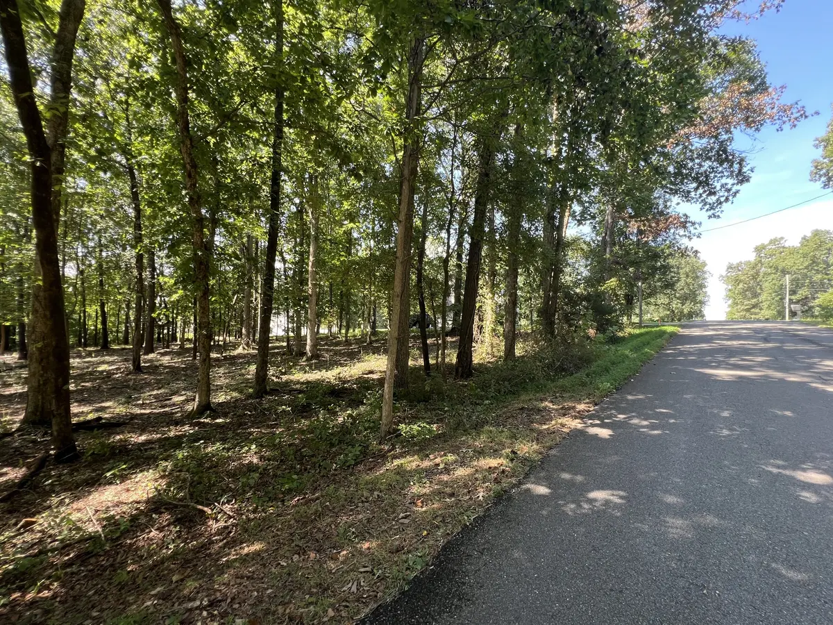 0 Forrest Dr, Paris, TN 38242