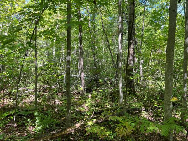 000 Maple Tree LN, Pine City, MN 55063