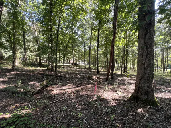 0 Forrest Dr, Paris, TN 38242