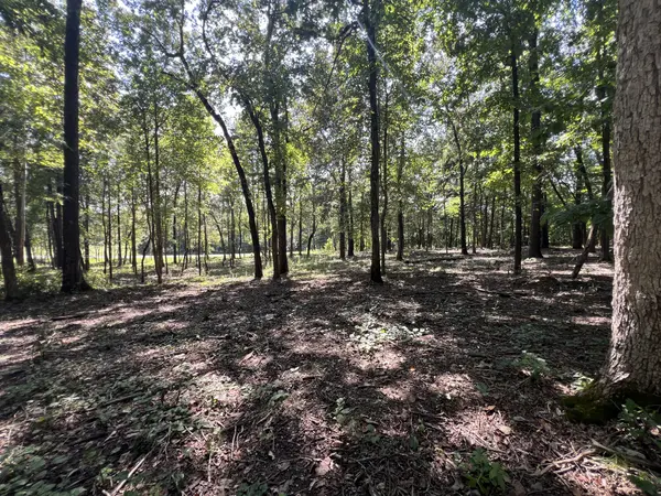 0 Forrest Dr, Paris, TN 38242