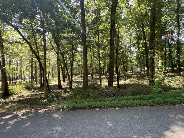 0 Forrest Dr, Paris, TN 38242