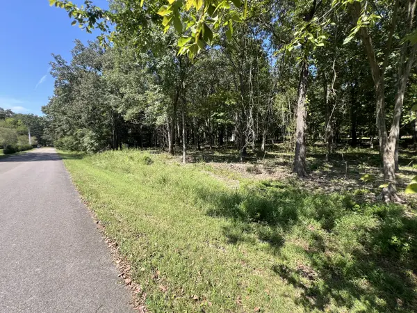 0 Forrest Dr, Paris, TN 38242