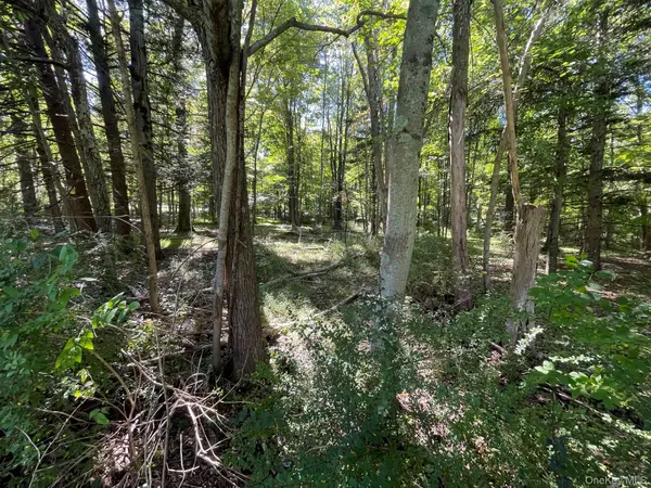 Co Rte 48, Thompson Ridge, NY 10985