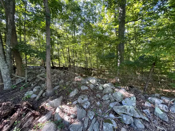 Co Rte 48, Thompson Ridge, NY 10985