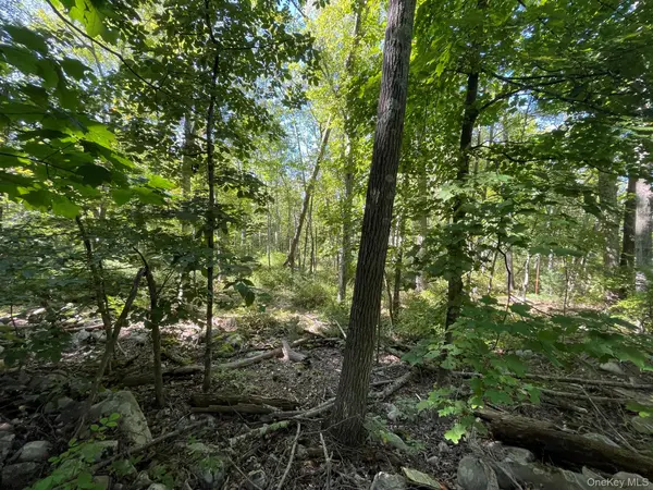 Co Rte 48, Thompson Ridge, NY 10985