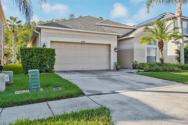 3240 DOWNAN POINT DR, Land O Lakes, FL 34638