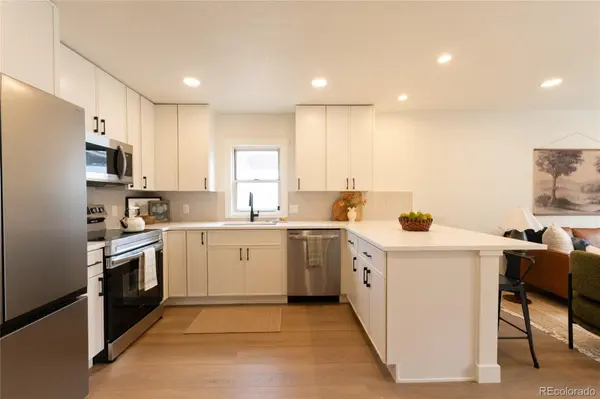 1073 S Raleigh ST, Denver, CO 80219