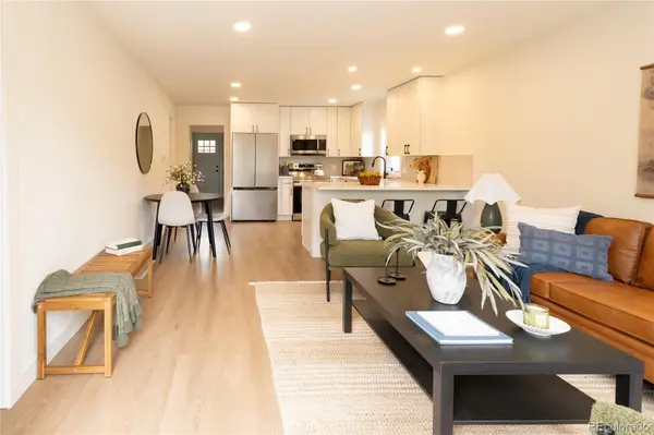 1073 S Raleigh ST, Denver, CO 80219