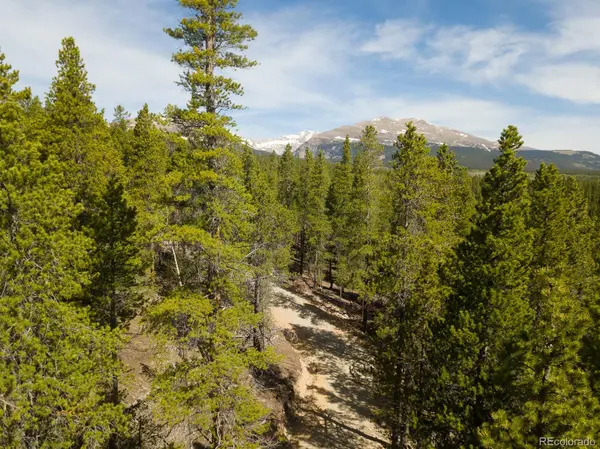 380 Georges WAY, Alma, CO 80420