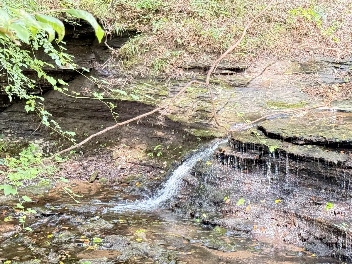 0 Hohenwald HWY, Waynesboro, TN 38485