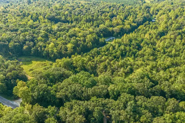 0 Horny Head Creek Rd, Parsons, TN 38363