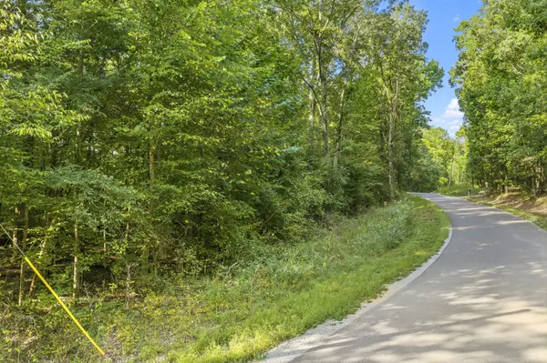 0 Horny Head Creek Rd, Parsons, TN 38363