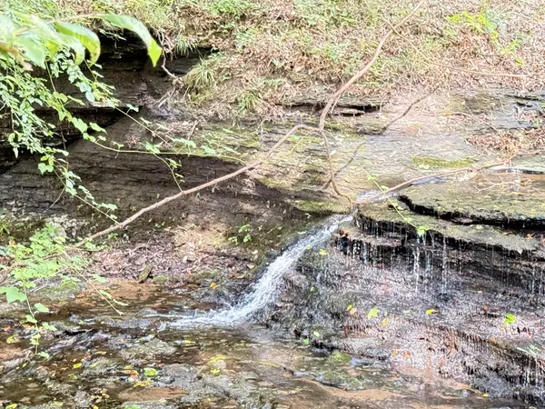 0 Hohenwald HWY, Waynesboro, TN 38485