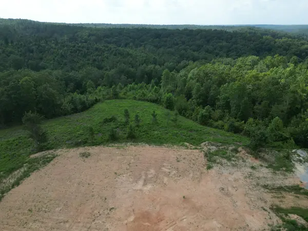 0 Hohenwald HWY, Waynesboro, TN 38485