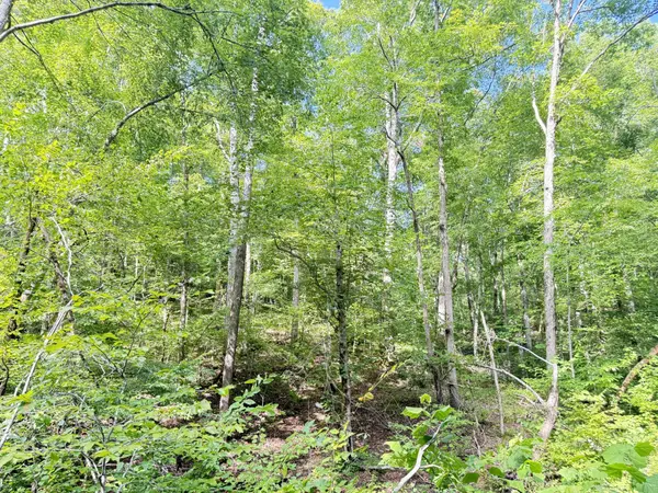 0 Hohenwald HWY, Waynesboro, TN 38485