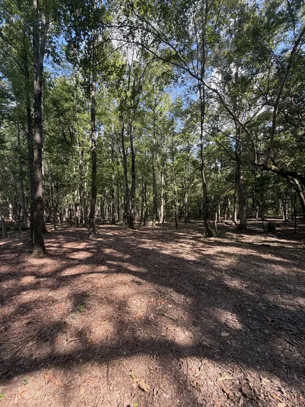0 Lakewood Park Dr, Beechgrove, TN 37018