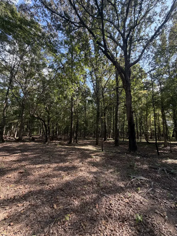 0 Lakewood Park Dr, Beechgrove, TN 37018