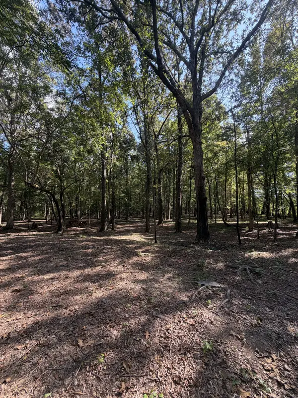 0 Lakewood Park Dr, Beechgrove, TN 37018