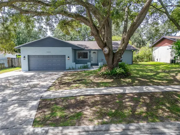 1229 OAK VALLEY DR, Seffner, FL 33584