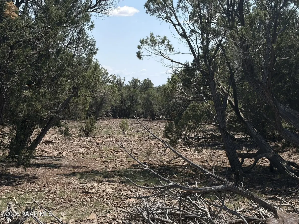 00 Nw Nine Shooter RD, Williams, AZ 86046