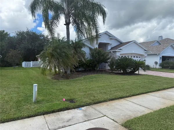 219 BAY ARBOR BLVD, Oldsmar, FL 34677
