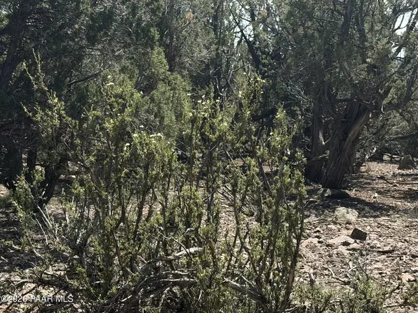 00 Nw Nine Shooter RD, Williams, AZ 86046
