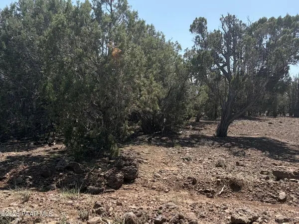 00 Ne Nine Shooter RD, Williams, AZ 86046