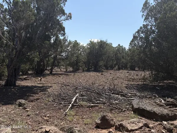00 Ne Nine Shooter RD, Williams, AZ 86046