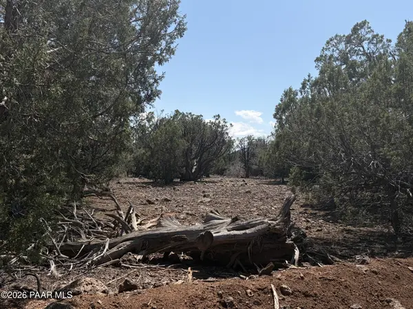 00 Ne Nine Shooter RD, Williams, AZ 86046