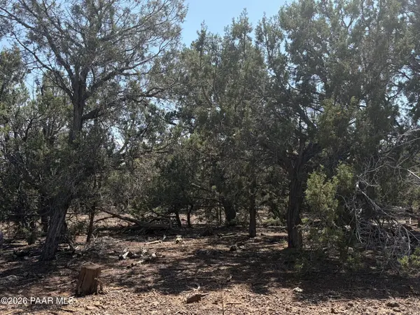 00 Ne Nine Shooter RD, Williams, AZ 86046