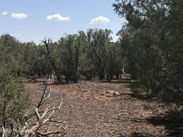 00 Sw Nine Shooter RD, Williams, AZ 86046