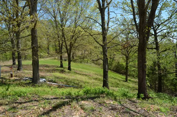 311 Cliffside DR, Galena, MO 65656
