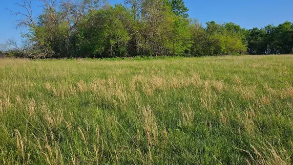 Lot 13 - 1174 Hunter LN, Ash Grove, MO 65604