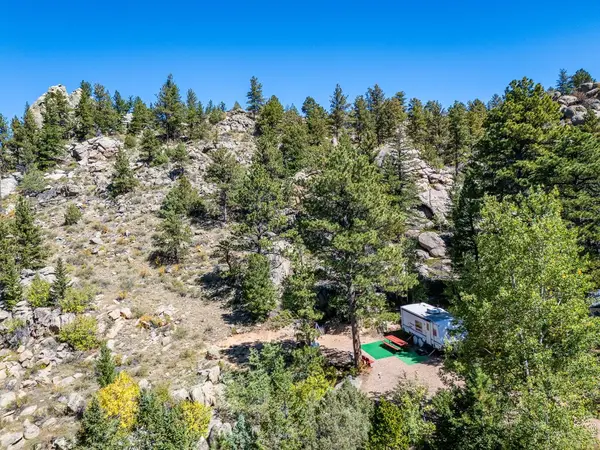 684 Iron Mountain, Livermore, CO 80536