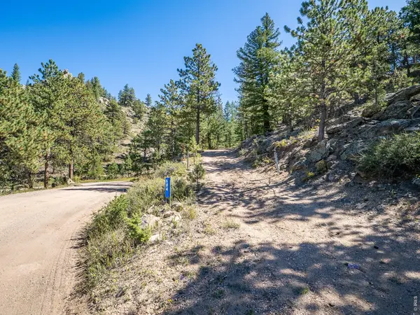 684 Iron Mountain, Livermore, CO 80536