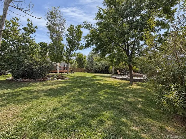 271 N Holcomb, Castle Rock, CO 80104