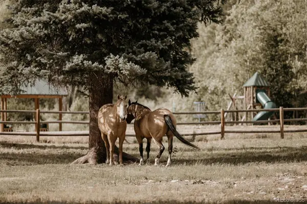 27711 County Road 12, Somerset, CO 81434