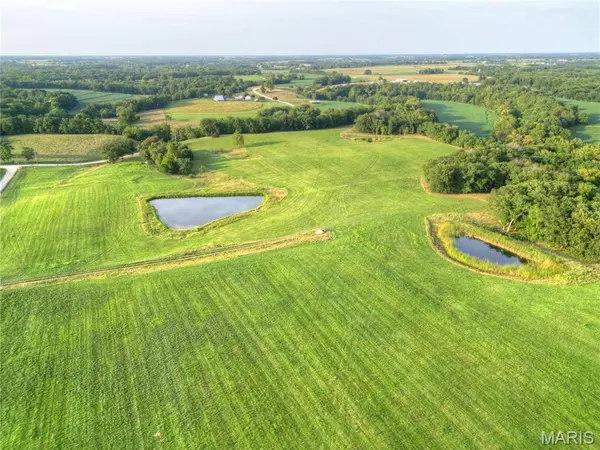 53.5 Ac m/l Pike 493, Bowling Green, MO 63334