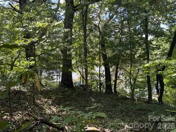 TBD Hi Alta AVE, Asheville, NC 28806