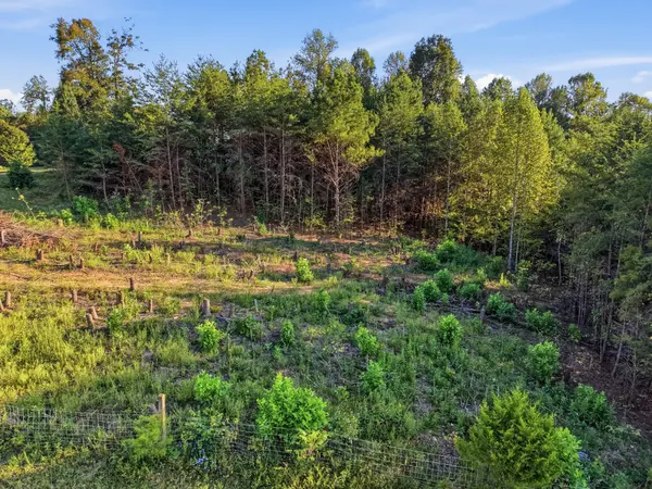 137 Vaughn Ln, Livingston, TN 38570