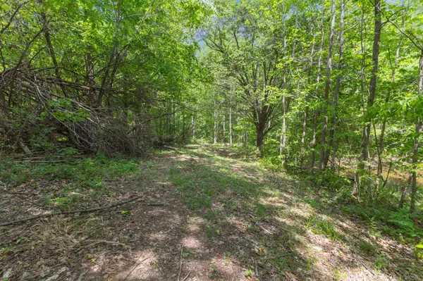 671 Poplar Ridge Rd, Chapmansboro, TN 37035