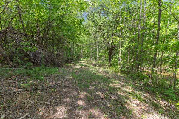 671 Poplar Ridge Rd, Chapmansboro, TN 37035